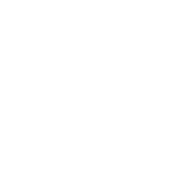 白うさぎを追って